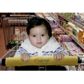 Child's Grocery Cart Protector